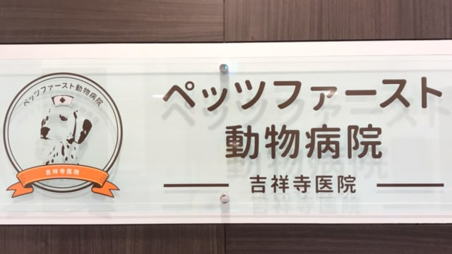 ペッツファースト動物病院 吉祥寺医院