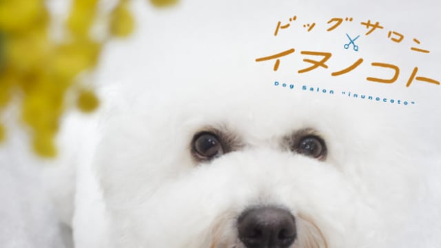 ドッグサロン イヌノコト