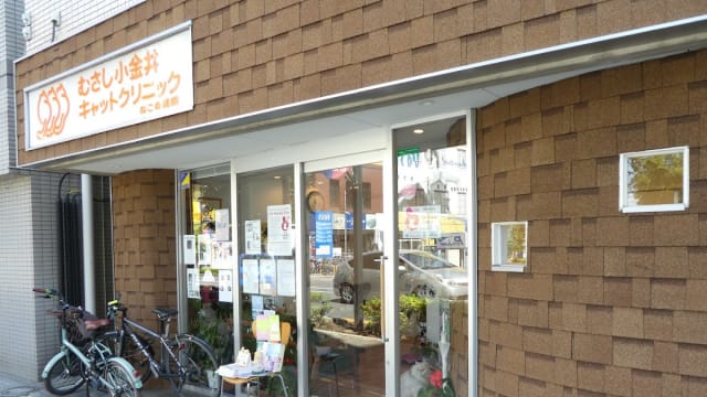 むさし小金井キャットクリニック ねこの病院