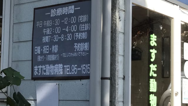 ますだ動物病院