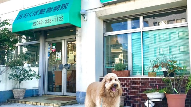 おおくぼ動物病院