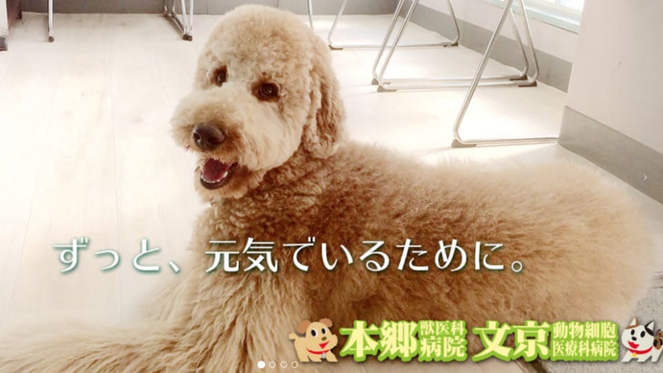 店舗の写真