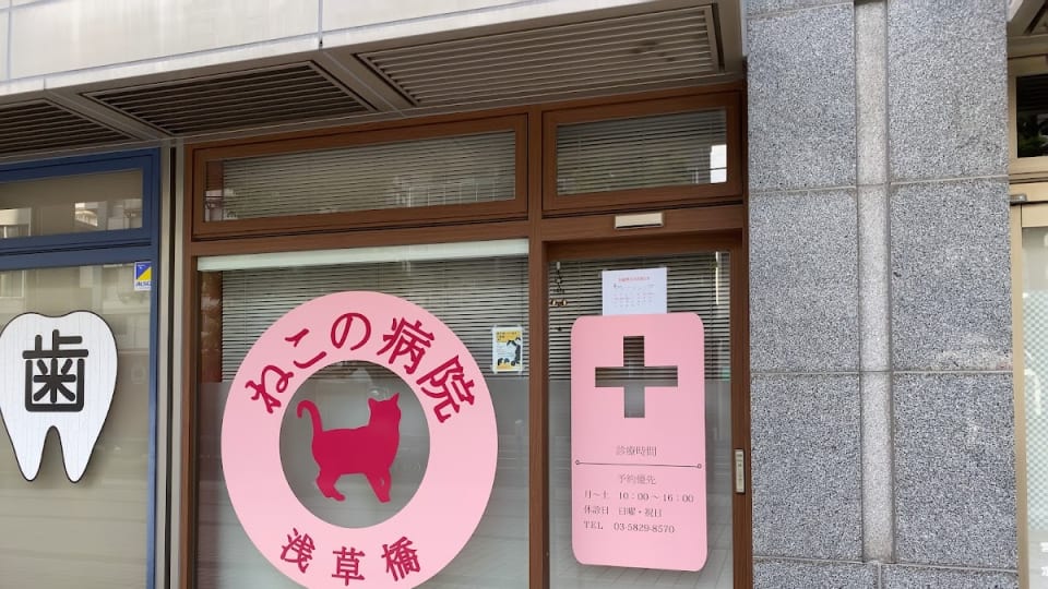 浅草橋 ねこの病院