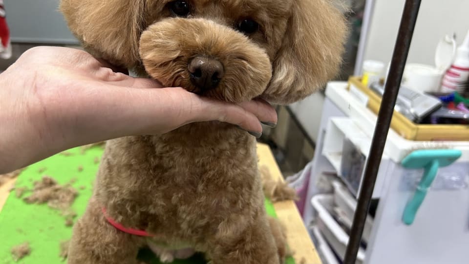 店舗の写真
