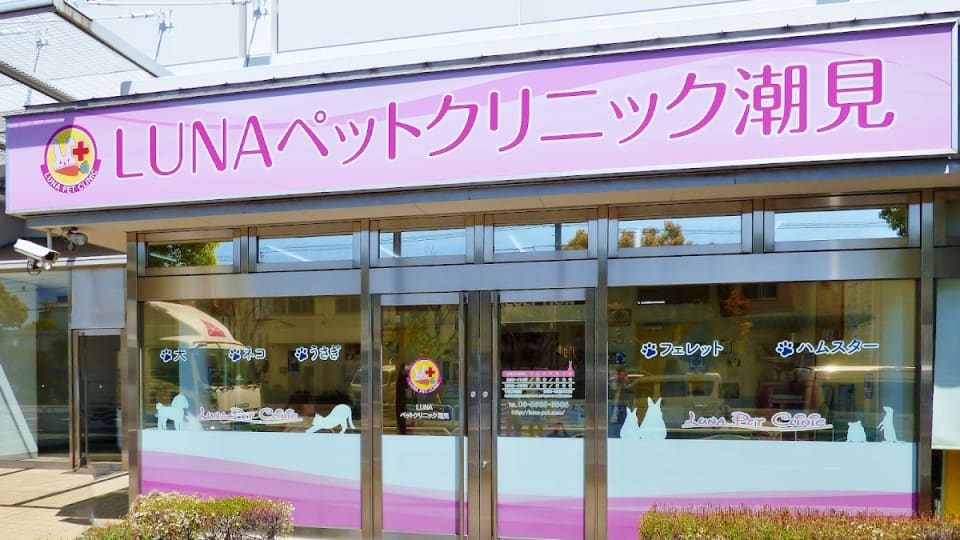 店舗の写真