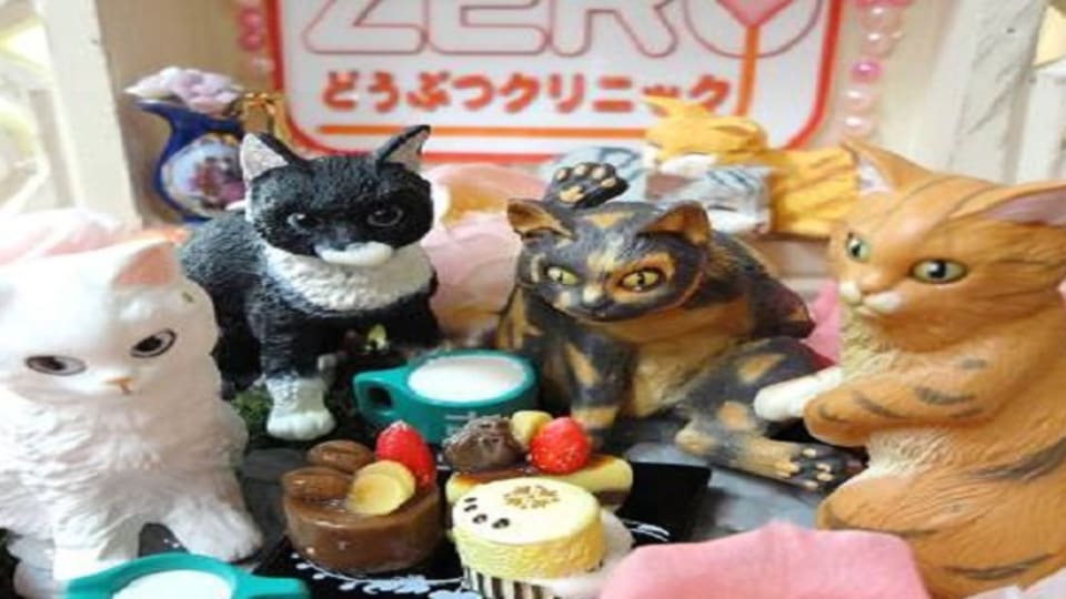 店舗の写真