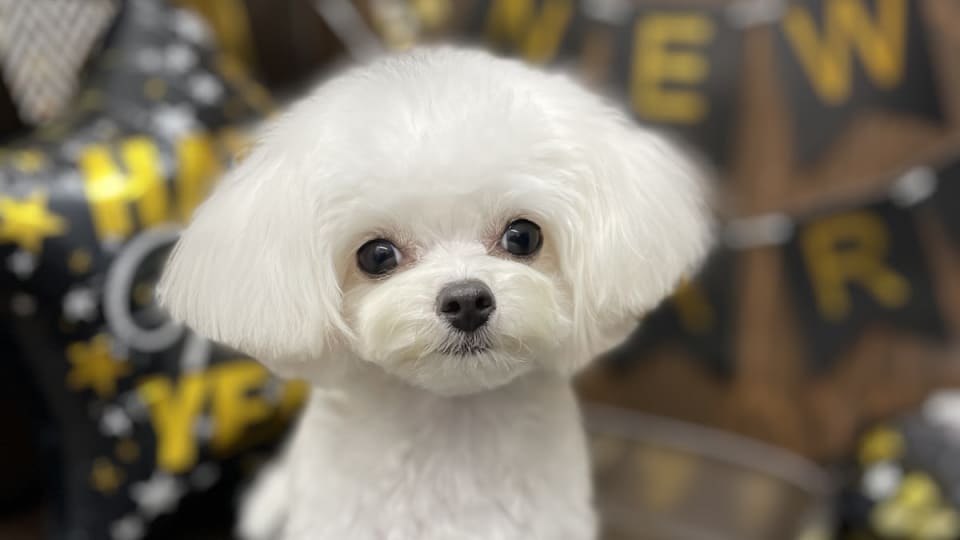 店舗の写真