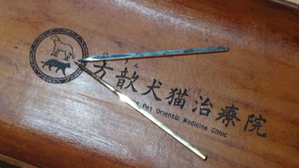 店舗の写真