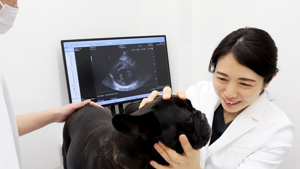 店舗の写真