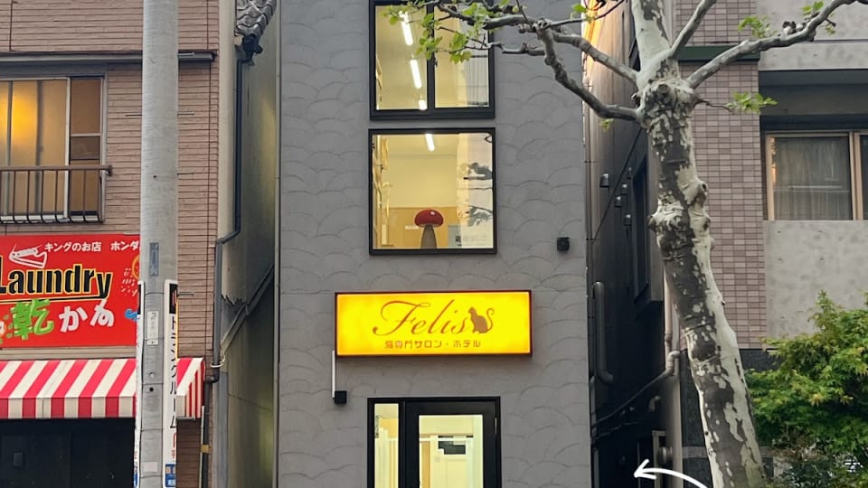 店舗の写真