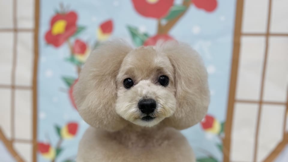 店舗の写真
