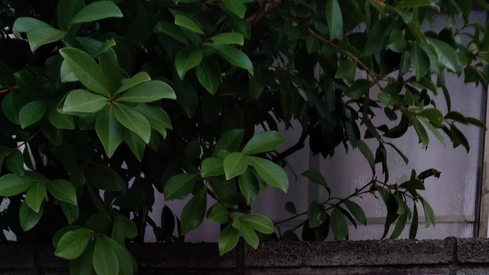店舗の写真