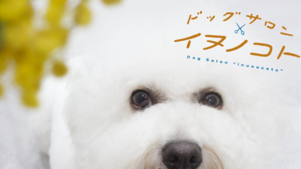 ドッグサロン イヌノコト