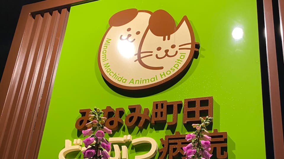 みなみ町田どうぶつ病院