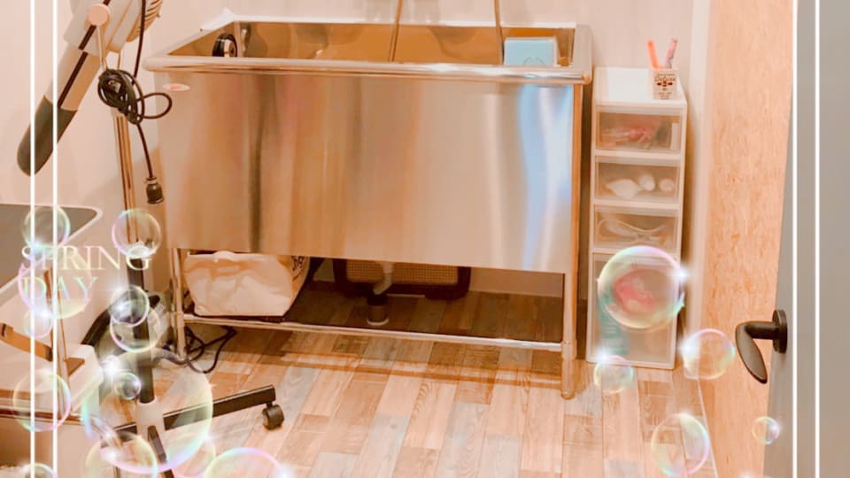 店舗の写真