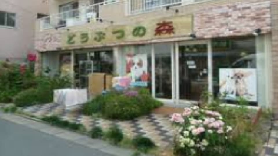 店舗の写真