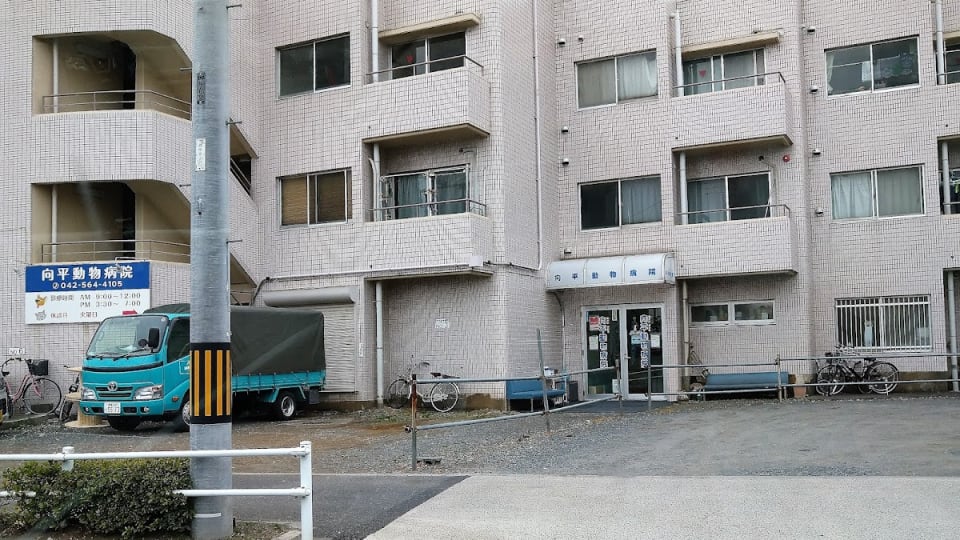 向平動物病院
