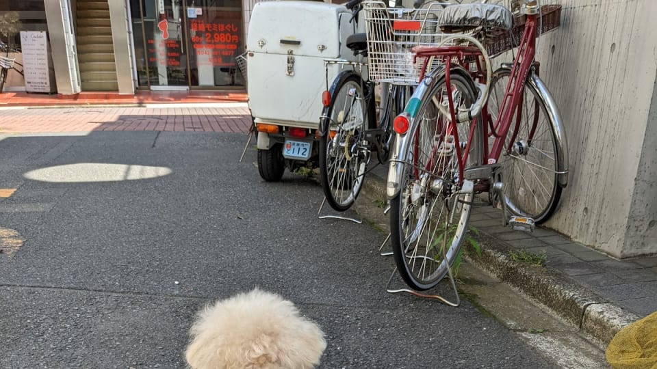 トリミングサロン犬床屋