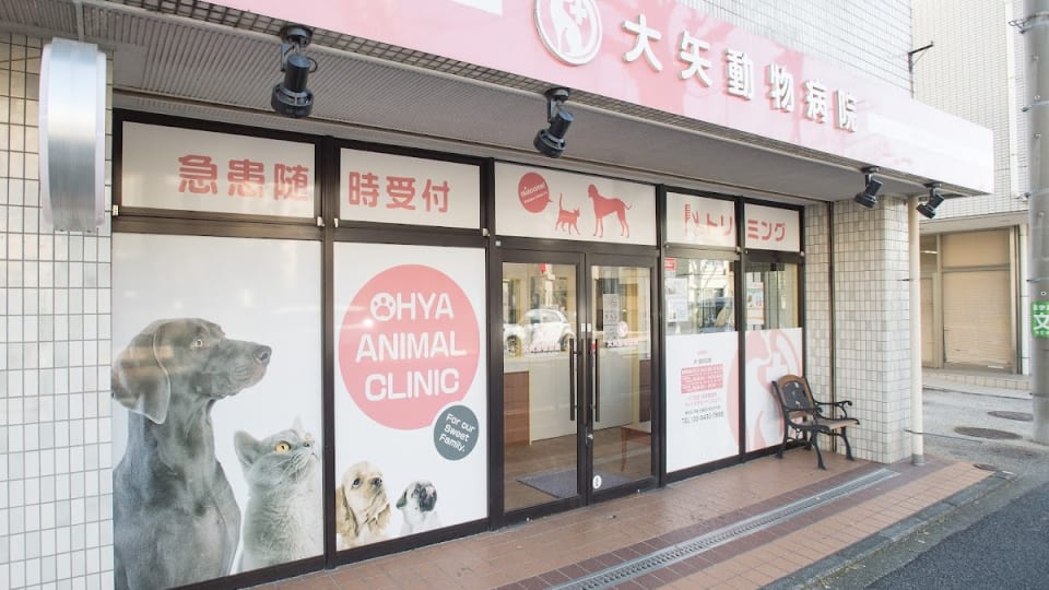 大矢動物病院