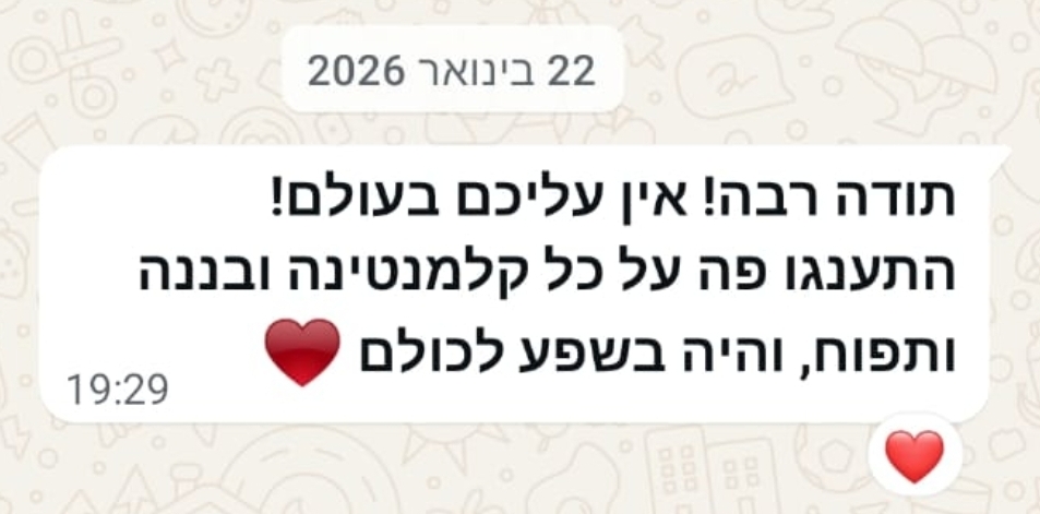 ביקורת לקוח 3