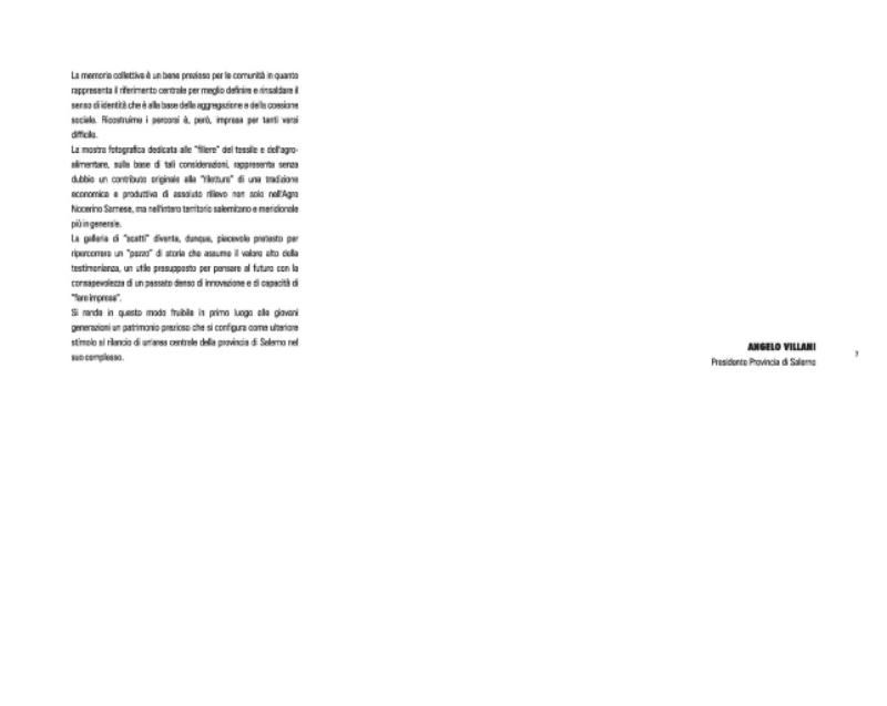 Economia ed industrie nell'Agro Nocerino-Sarnese