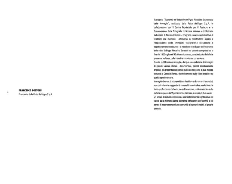 Economia ed industrie nell'Agro Nocerino-Sarnese