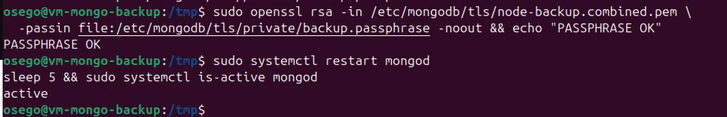 part9-05-mongod-active-backup-node.png