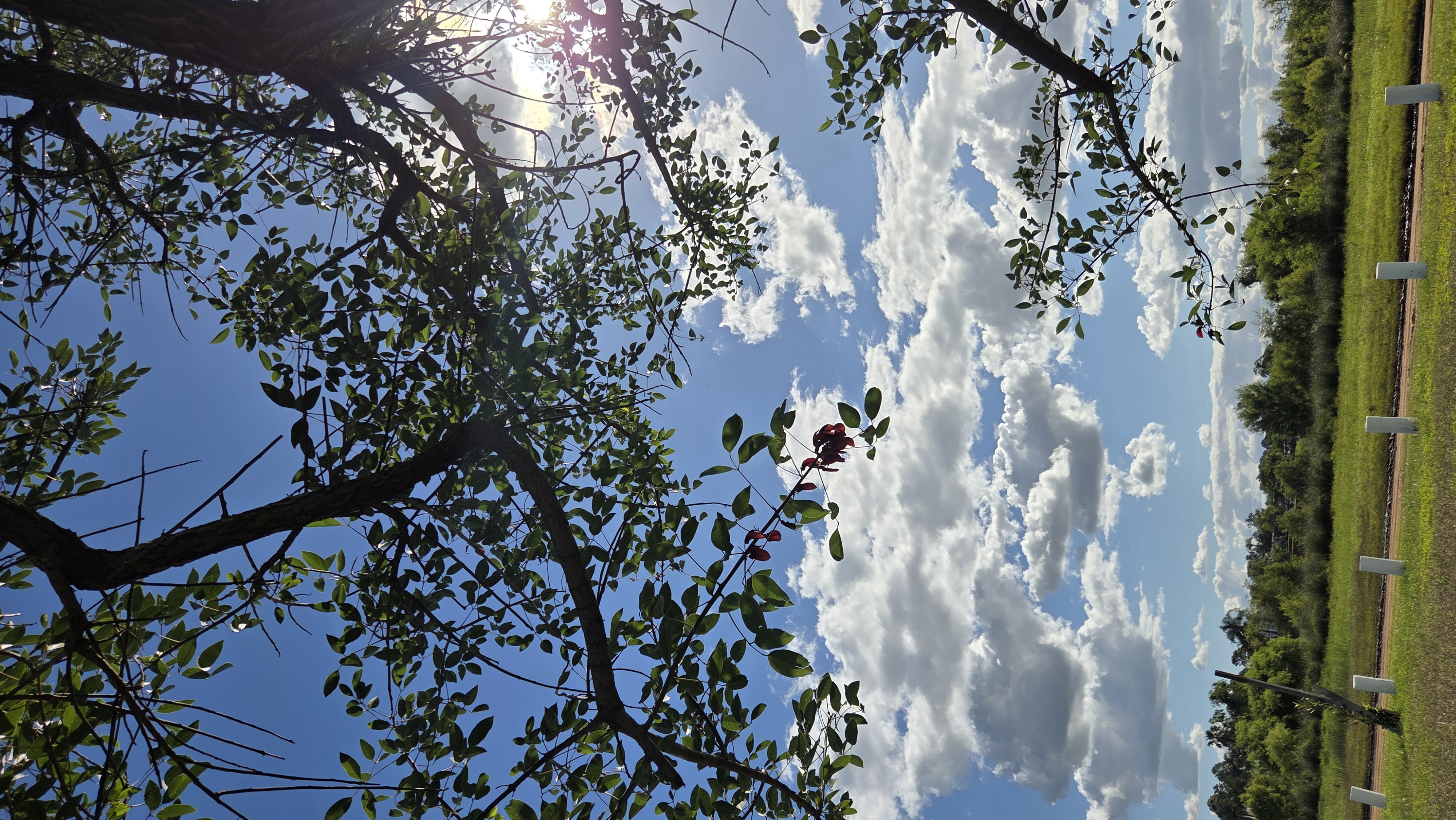 Paisaje