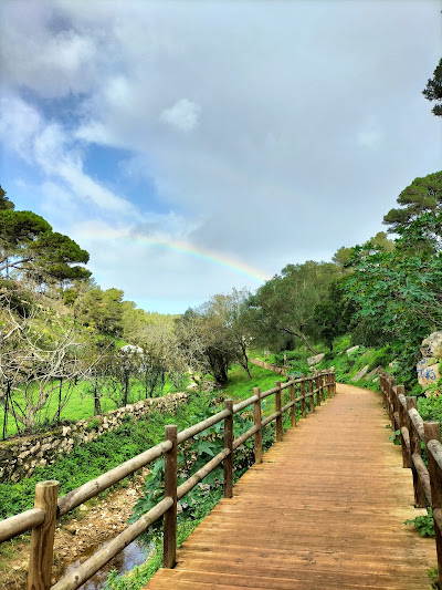 Photo by Patrícia Chumbinho