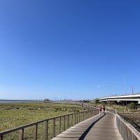 Passadiços do Trilho Ribeirinho Tejo (Vila Franca de Xira)