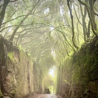 Caminho Viejo al Pico del Inglès (Santa Cruz de Tenerife)