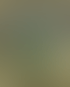 blurred image