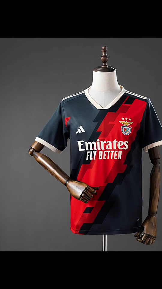 Benfica 25/26 Special Edition - Grey Jersey S-XXL