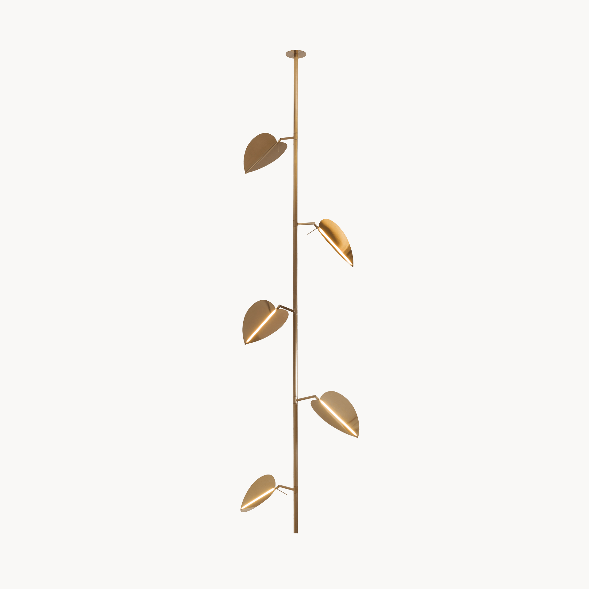 Aracea ceiling lamp
