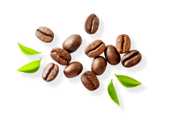 Coffee Beans Detail