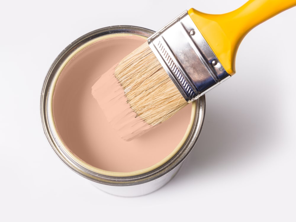 House Paint: Complete Guide to Interior and Exterior Painting Solutions photo