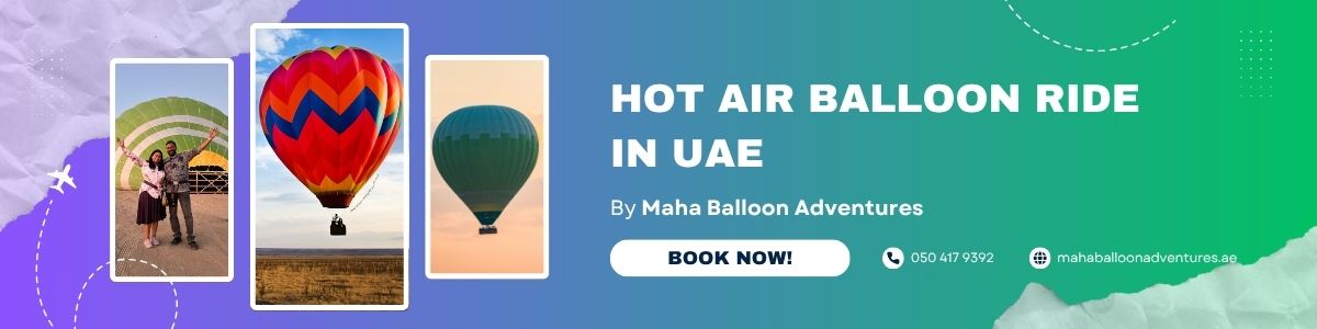 Travel Agencies