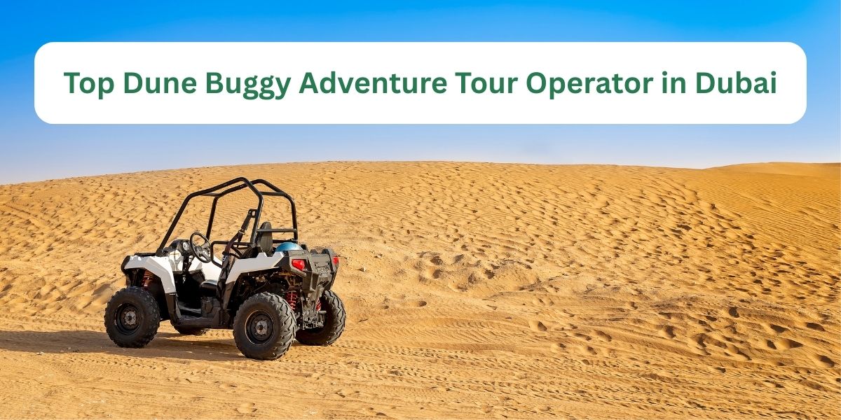dune buggy adventure dubai​