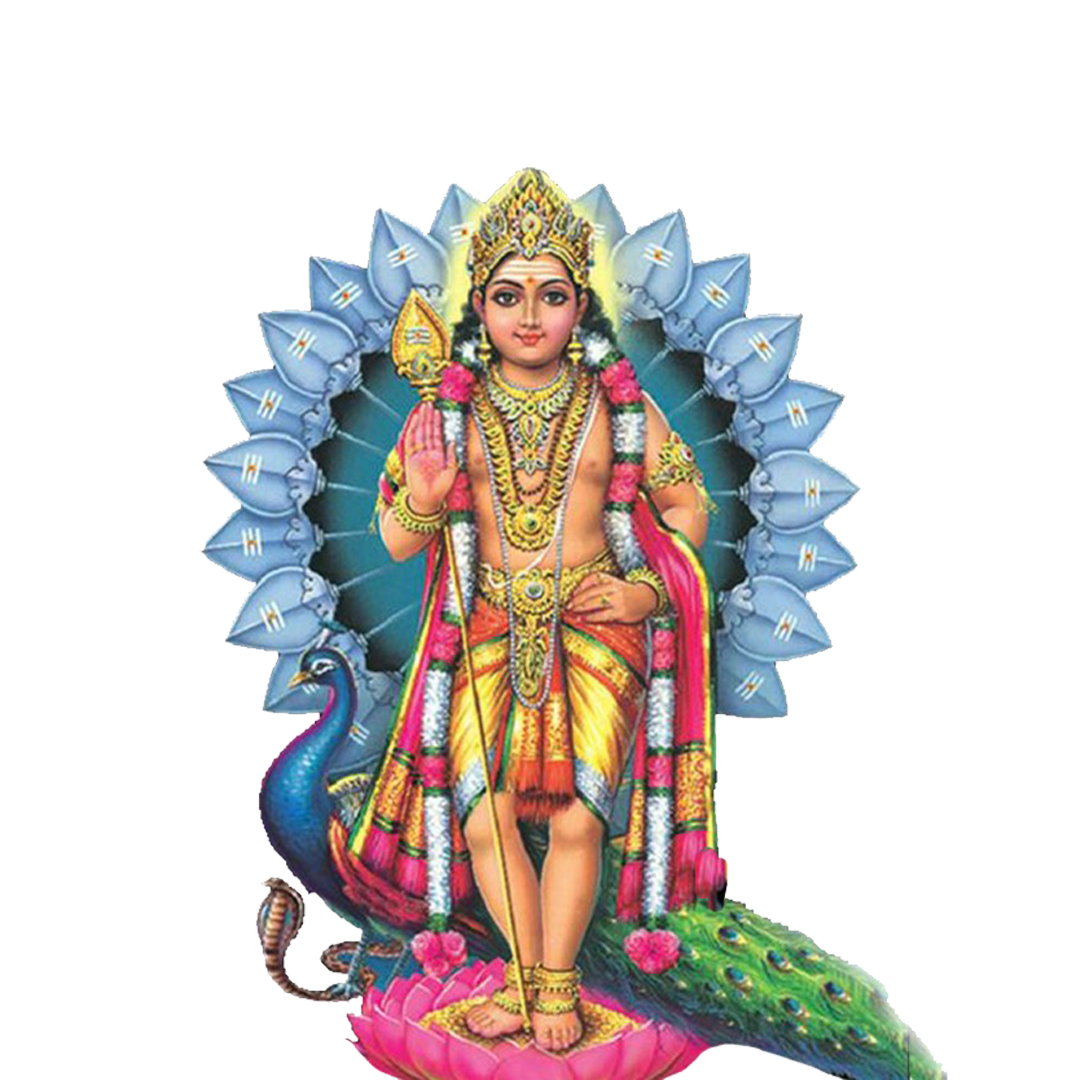 Experience Divine Blessings: Lord Muruga Homam & Navagraha Shanthi Homam on Thai Poosam 2025 1 g9bctpldgdegp9gwq6ft