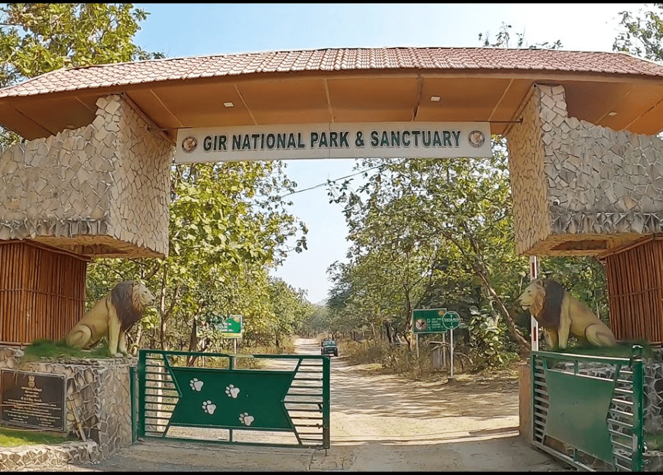 Gir Forest