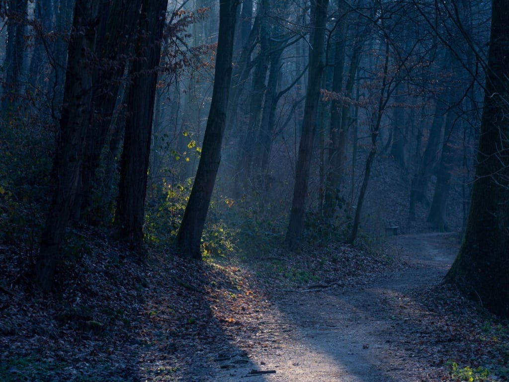 Masaje en Elche con sonidos de cigarras y grillos