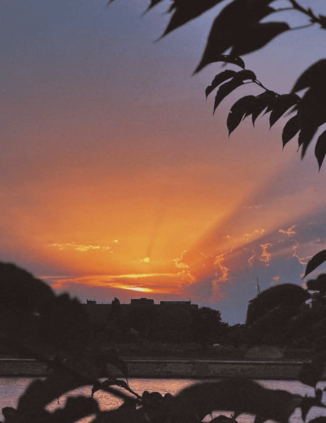 the Sava going orange, through somebody's tree