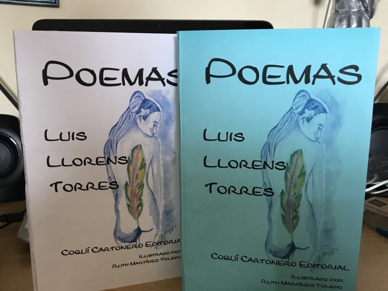 Trabajo artesanal de Coqui Cartonero Editorial