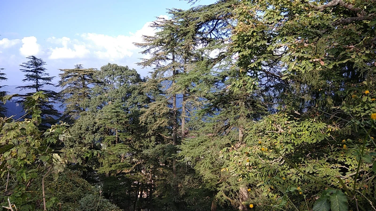 Complete Himachal Pradesh Tour Package gallery 2