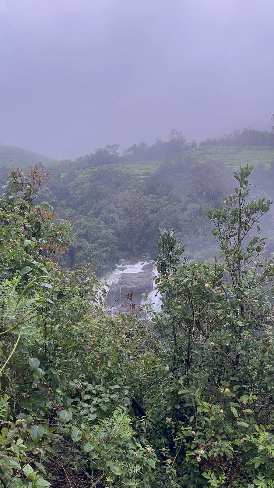 Kerala Regular Package gallery 2
