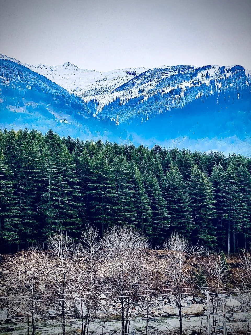 Shimla Manali Group Tour Package gallery 3