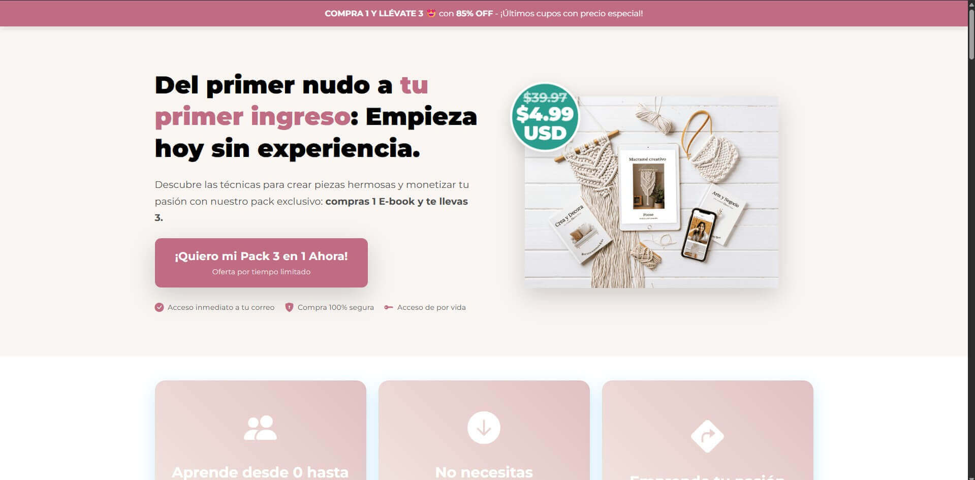 visualización de branding