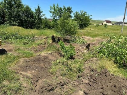 Благоустройство улиц