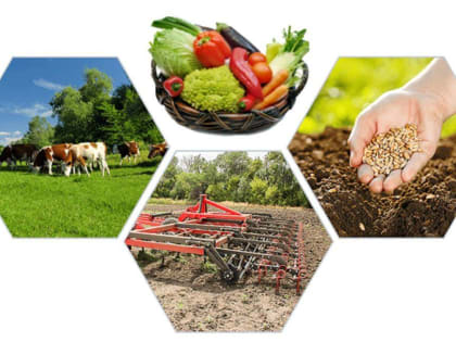 Внимание, фермеры и владельцы ЛПХ в Ингушетии!