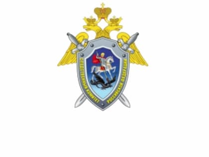 Возбуждено уголовное дело о злоупотреблении должностными полномочиями бывшим заместителем министра здравоохранения Республики Ингушетия